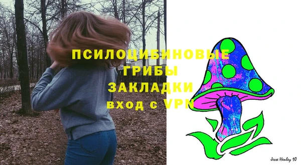 ALPHA PVP Мегион