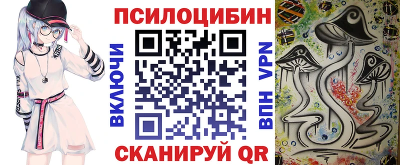дарнет шоп  Иланский  Псилоцибиновые грибы Magic Shrooms 